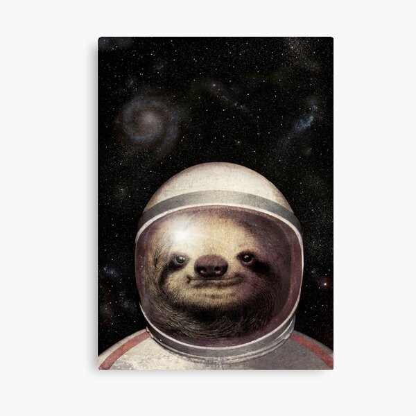 Space Sloth Canvas Print