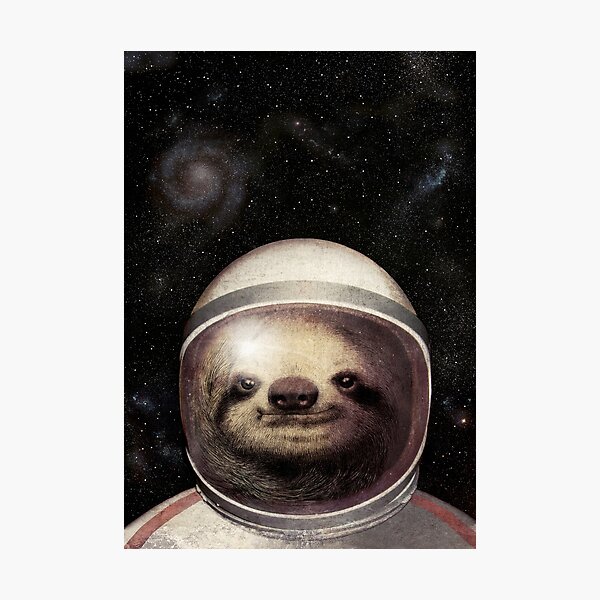 Item preview, Space Sloth designed and sold by Eric Fan.