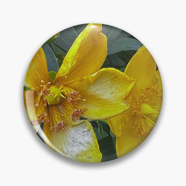 Item preview, „Gelbe Blumen im Garten – Entspannte Natur“ : „Yellow Flowers in the Garden – Relaxing Nature“ designed and sold by Yaroplanner.