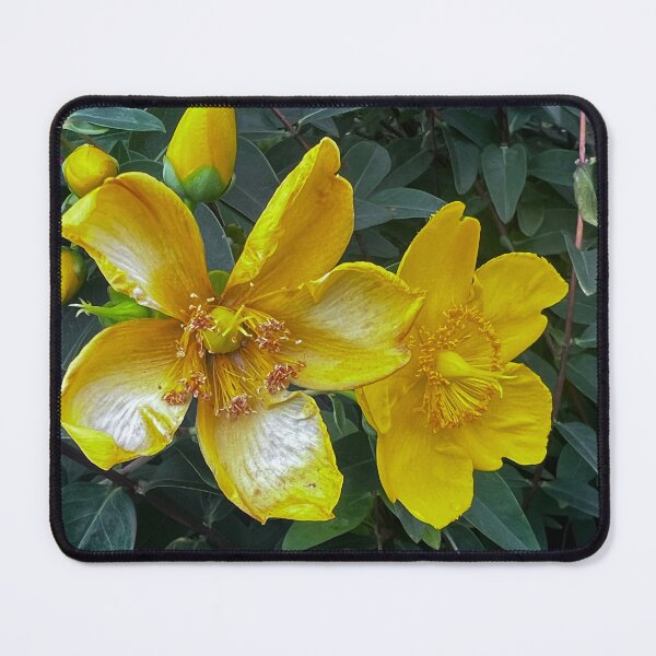 Item preview, „Gelbe Blumen im Garten – Entspannte Natur“ : „Yellow Flowers in the Garden – Relaxing Nature“ designed and sold by Yaroplanner.