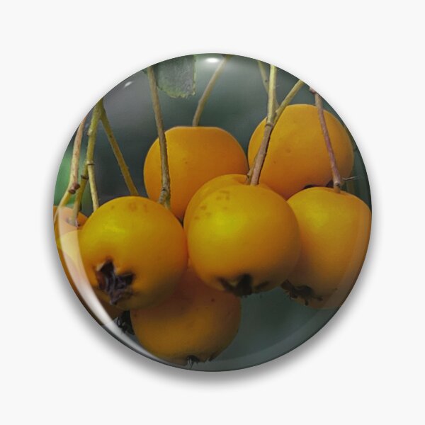 Item preview, Gelbe Frucht, Obst, Fruit, „Gelbe Blumen im Garten – Entspannte Natur“ : „Yellow Flowers in the Garden – Relaxing Nature“ designed and sold by Yaroplanner.