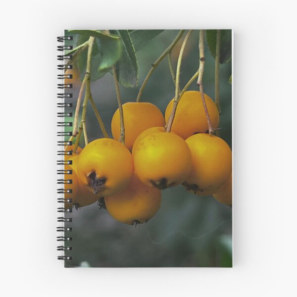 Item preview, Gelbe Frucht, Obst, Fruit, „Gelbe Blumen im Garten – Entspannte Natur“ : „Yellow Flowers in the Garden – Relaxing Nature“ designed and sold by Yaroplanner.