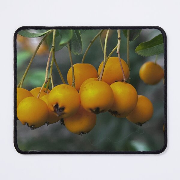 Item preview, Gelbe Frucht, Obst, Fruit, „Gelbe Blumen im Garten – Entspannte Natur“ : „Yellow Flowers in the Garden – Relaxing Nature“ designed and sold by Yaroplanner.