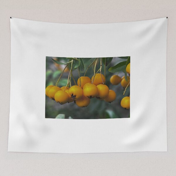 Item preview, Gelbe Frucht, Obst, Fruit, „Gelbe Blumen im Garten – Entspannte Natur“ : „Yellow Flowers in the Garden – Relaxing Nature“ designed and sold by Yaroplanner.