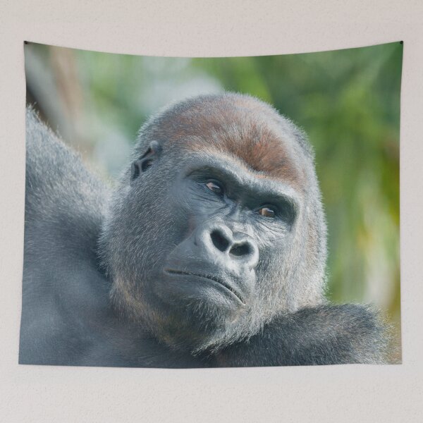 Item preview, Strength – Gorilla Side Glance designed and sold by rawshutterbug.