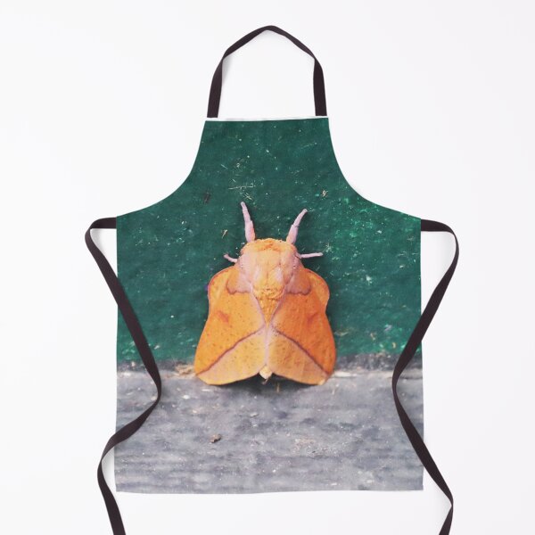 Item preview, Bisected honey locust moth designed and sold by Alice Kahn.