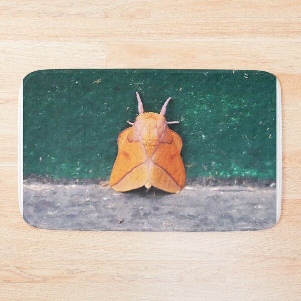 Item preview, Bisected honey locust moth designed and sold by Alice Kahn.