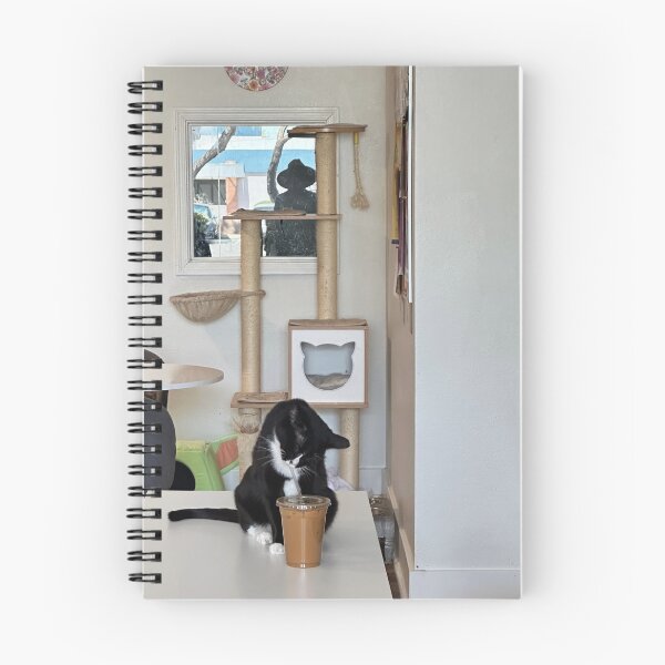 Item preview, Cat Cafe Tucson Arizona  designed and sold by Alice  Becky Kahn.