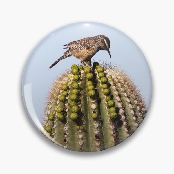 Item preview, Cactus Wren on Cactus designed and sold by Alice Kahn.