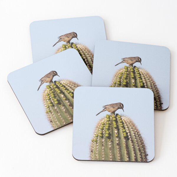 Item preview, Cactus Wren on Cactus designed and sold by Alice Kahn.