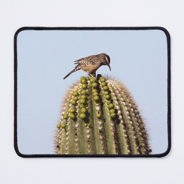 Item preview, Cactus Wren on Cactus designed and sold by Alice Kahn.