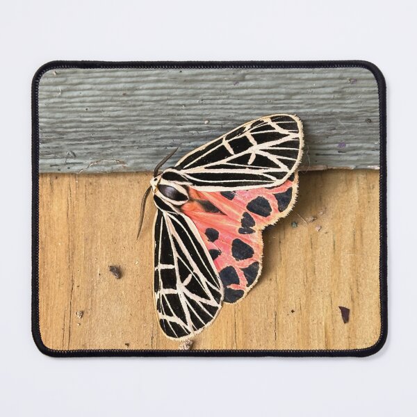 Item preview, Tiger Moth designed and sold by Alice Kahn.