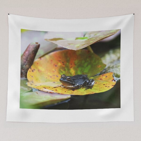 Item preview, Frog for September designed and sold by Alice Kahn.