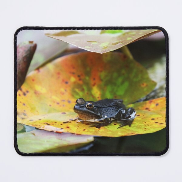 Item preview, Frog for September designed and sold by Alice  Becky Kahn.
