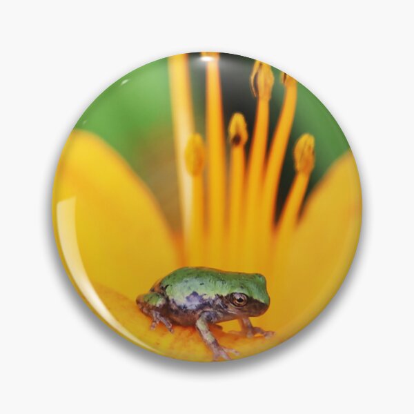 Item preview, Cope's Gray Tree Froglet on Orange Daylily designed and sold by Alice Kahn.