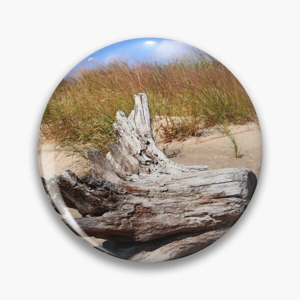 Item preview, Driftwood at Presque Isle designed and sold by kenkortner.