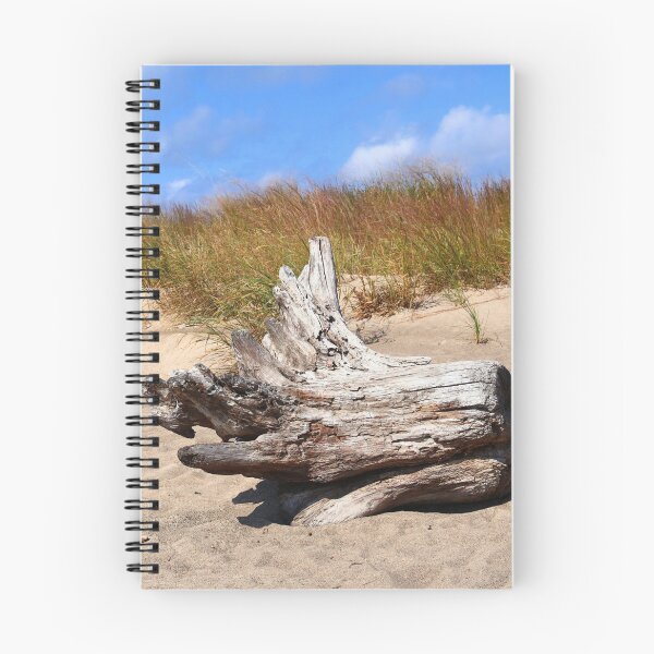 Item preview, Driftwood at Presque Isle designed and sold by kenkortner.