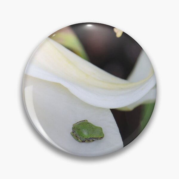 Item preview,  Cope's Gray Tree Froglet on lily designed and sold by Alice Kahn.