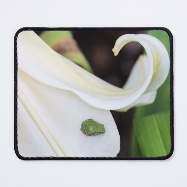 Item preview,  Cope's Gray Tree Froglet on lily designed and sold by Alice Kahn.