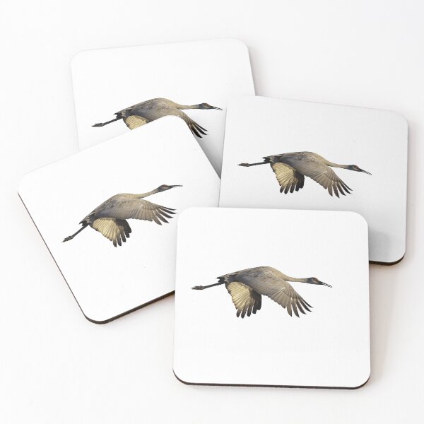 Item preview, Isolated Sandhill Crane 9-13-25 designed and sold by Thomasyoung.
