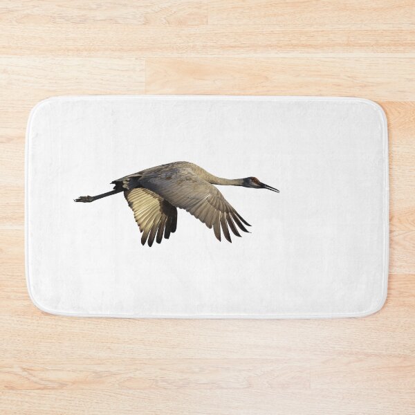 Item preview, Isolated Sandhill Crane 9-13-25 designed and sold by Thomasyoung.