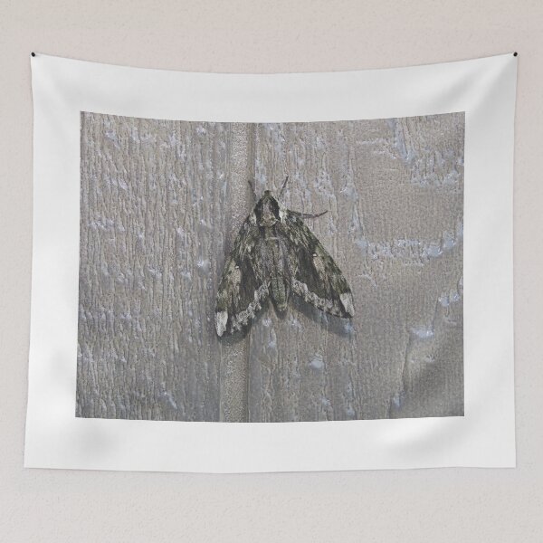 Item preview, Hagen's Sphinx designed and sold by Alice Kahn.