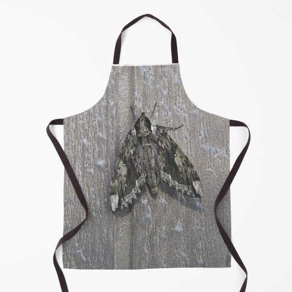 Item preview, Hagen's Sphinx designed and sold by Alice Kahn.
