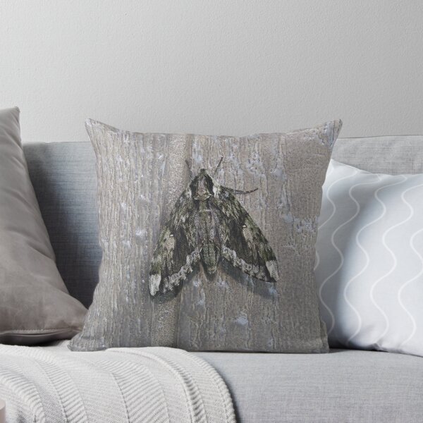 Item preview, Hagen's Sphinx designed and sold by Alice  Becky Kahn.