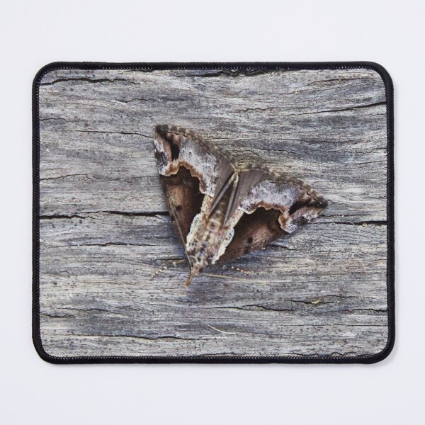 Item preview, Baltimore Snout designed and sold by Alice Kahn.