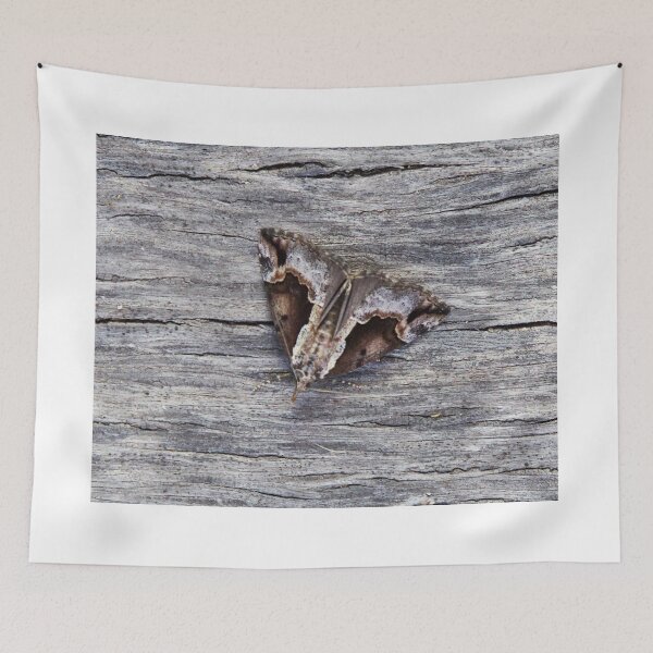 Item preview, Baltimore Snout designed and sold by Alice Kahn.