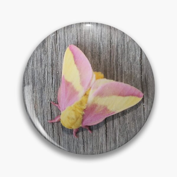 Item preview, Rosy Maple Moth designed and sold by Alice Kahn.