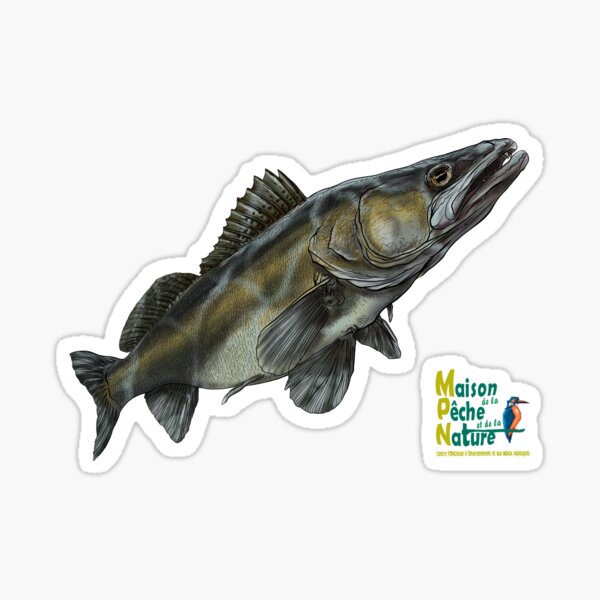 Sandre MPN Sticker