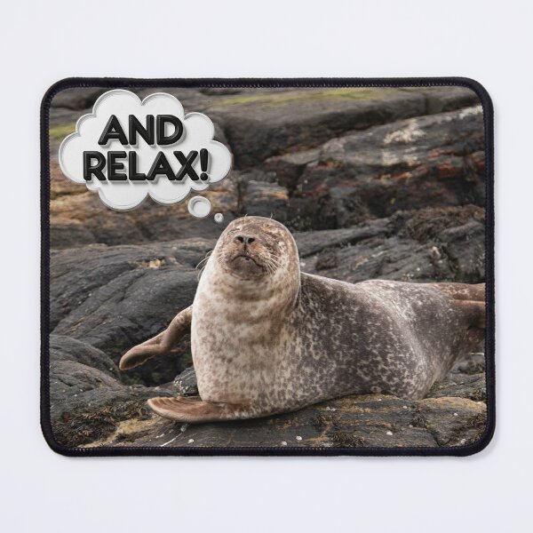 Item preview, AND RELAX! Common Seal on rocks in Loch Roe Scotland designed and sold by CEastwoodPhotos.