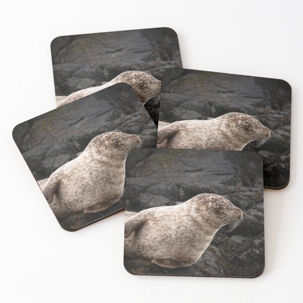 Item preview, Sleepy Common Seal on rocks in Loch Roe Scotland designed and sold by CEastwoodPhotos.