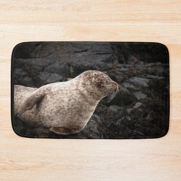 Item preview, Sleepy Common Seal on rocks in Loch Roe Scotland designed and sold by CEastwoodPhotos.