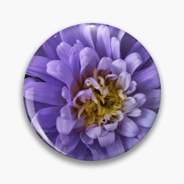 Item preview, aster flower designed and sold by IgorKovalenko.