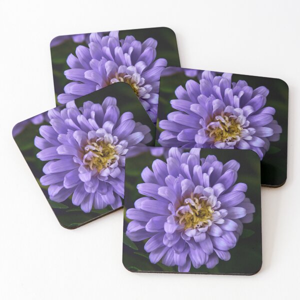 Item preview, aster flower designed and sold by IgorKovalenko.