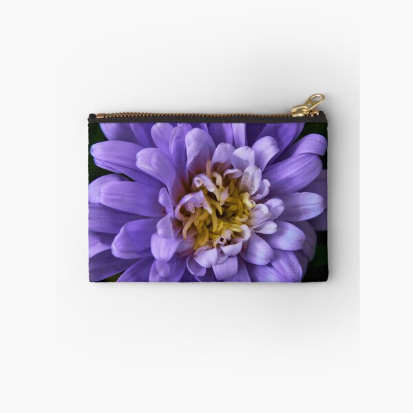Item preview, aster flower designed and sold by IgorKovalenko.