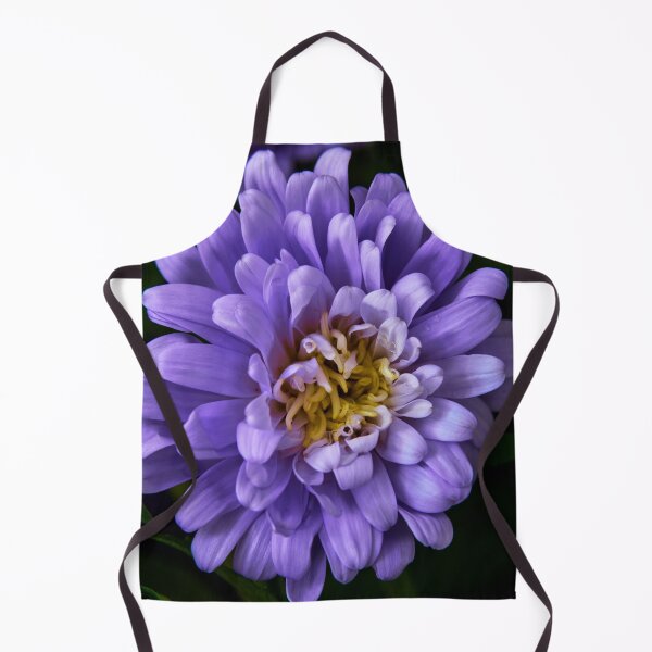 Item preview, aster flower designed and sold by IgorKovalenko.