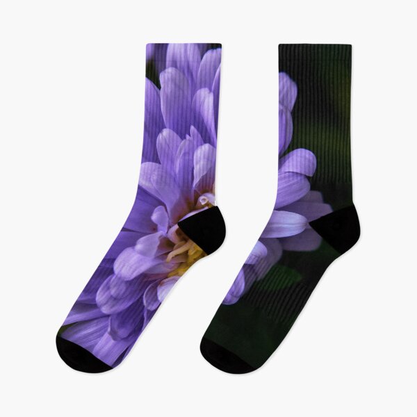 Item preview, aster flower designed and sold by IgorKovalenko.