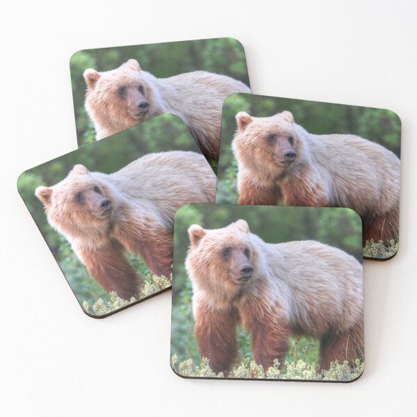 Item preview, Young grizzly bear III designed and sold by zumi.