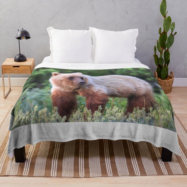 Item preview, Young grizzly bear III designed and sold by zumi.