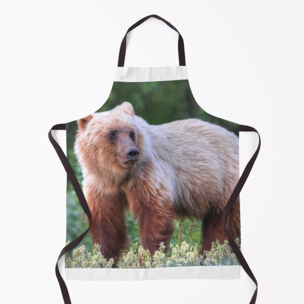 Item preview, Young grizzly bear III designed and sold by zumi.