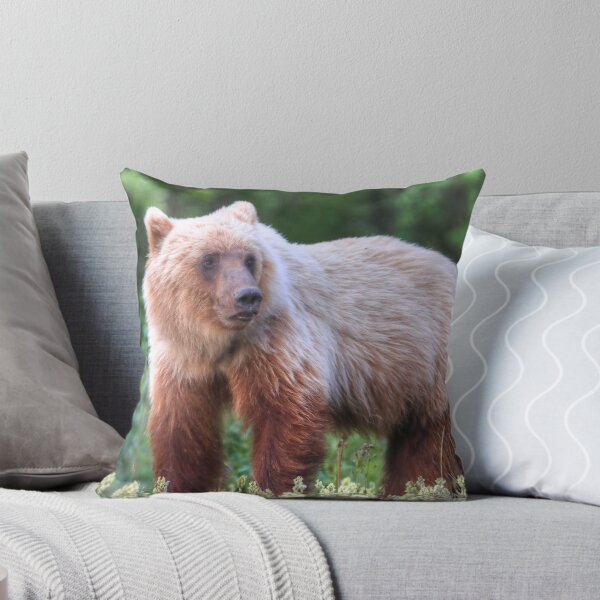 Item preview, Young grizzly bear III designed and sold by zumi.