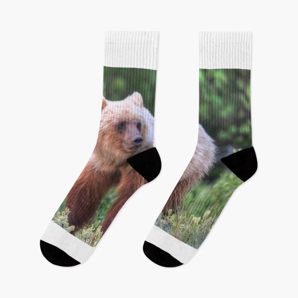 Item preview, Young grizzly bear III designed and sold by zumi.