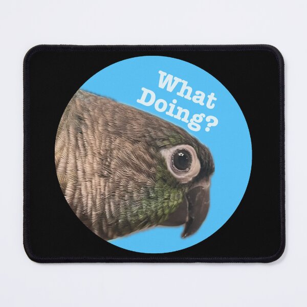 Item preview, What Doing? Mickey the Green Cheek Conure designed and sold by RexGrounds05.