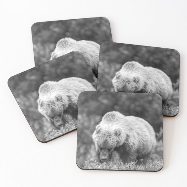 Item preview, Young grizzly bear (monochrome) designed and sold by zumi.