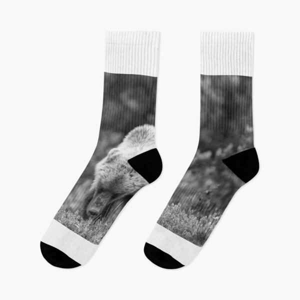 Item preview, Young grizzly bear (monochrome) designed and sold by zumi.