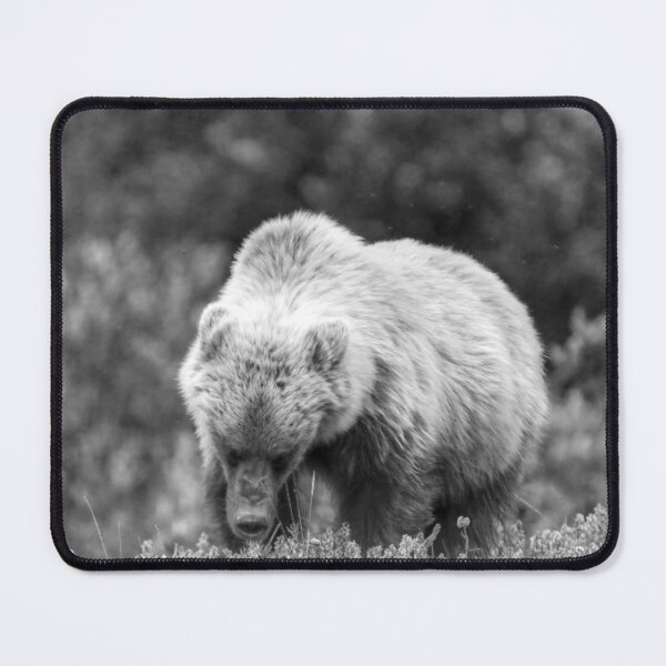 Item preview, Young grizzly bear (monochrome) designed and sold by zumi.