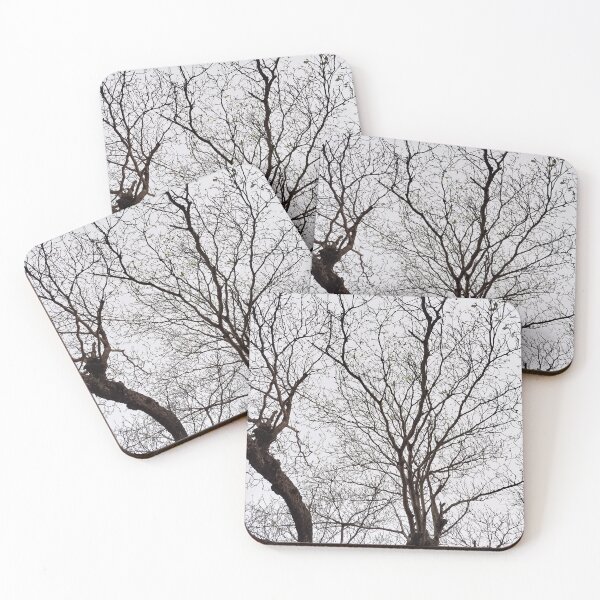 Item preview, Tree designed and sold by Sérgio Rodrigues Garcez Filho.